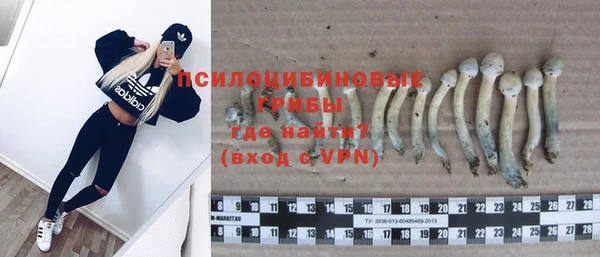 крисы Новокубанск
