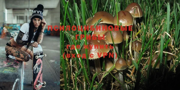 MESCALINE Нефтекумск