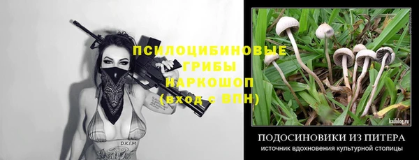 крисы Новозыбков