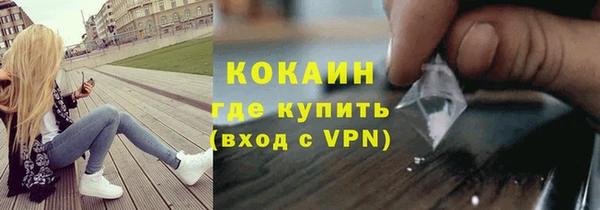 крисы Новозыбков