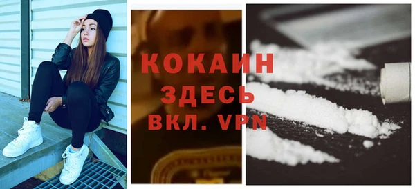 крисы Новозыбков