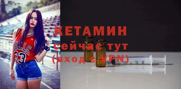 крисы Новокубанск