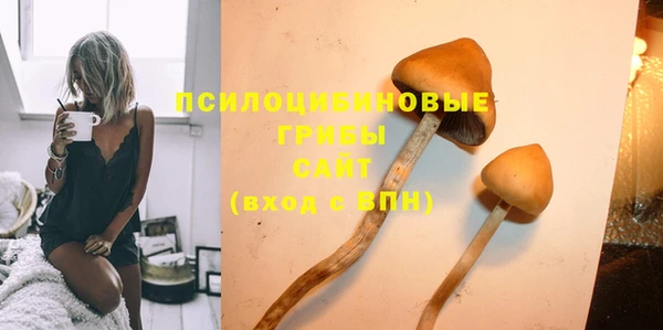 гашик Новодвинск