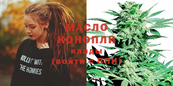 гашик Новодвинск