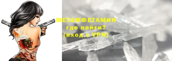 крисы Новозыбков