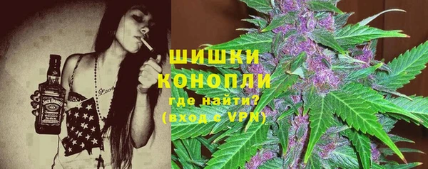 крисы Новокубанск