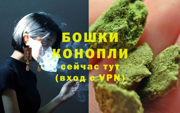 крисы Новокубанск