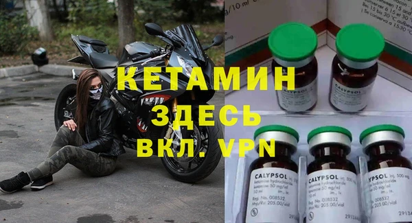 крисы Новозыбков