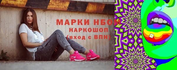 гашик Новодвинск