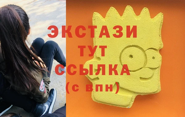 гашик Новодвинск