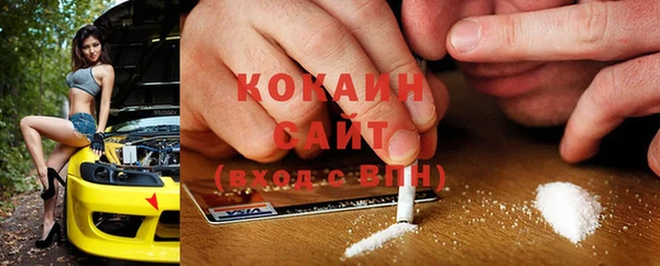 крисы Новокубанск
