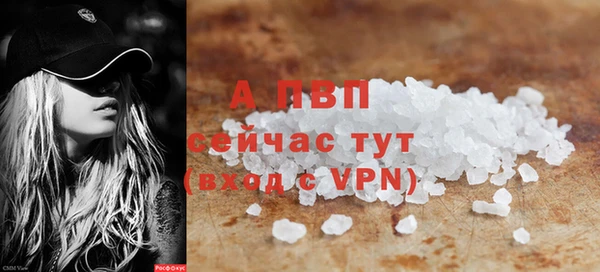 крисы Новокубанск