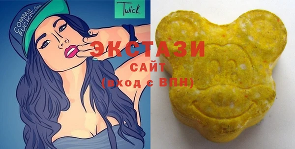 крисы Новозыбков