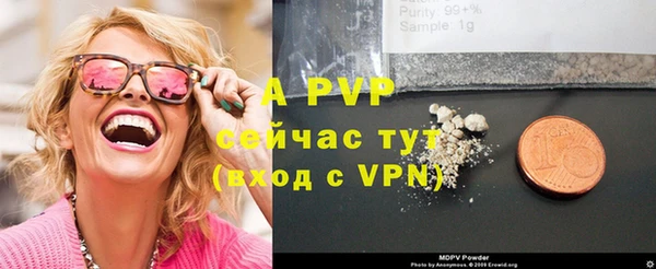 крисы Новозыбков
