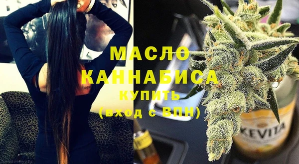 гашик Новодвинск