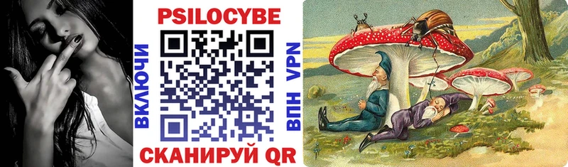 Галлюциногенные грибы MAGIC MUSHROOMS  MEGA tor  Нижний Ломов  shop состав  где купить наркоту 